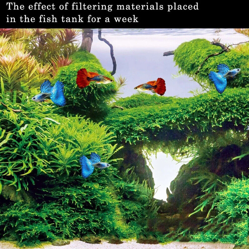 Nitrifying Bacteria Fish Tank Filter Media Aquarium Water Media Filter