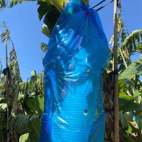 5pcs Banana Bunch Bags Cover Plant Fruit Protection Ripening Anti-freezing Bag