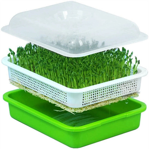 Seed Sprouter Tray with Lid BPA Free Bean Sprout Grower Sprouting Seeds Tray AU