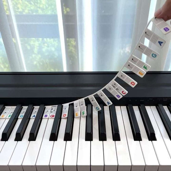 1/2 Universal Colorful Removable Piano Stickers for 61 Key Keyboards Note Labels