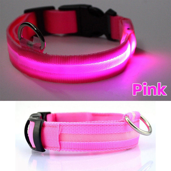 LED Night Safety Dog Collar Nylon Pet Puppy Glow Flashing Light Leash Set USB AU