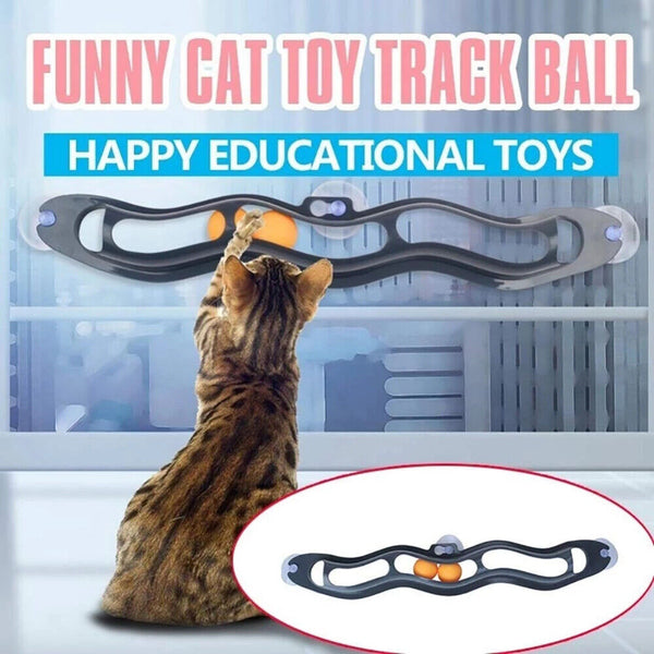 Interactive Track Ball Window Suction Cup Track Bal Funny Cat Toys Pet Toy NEW