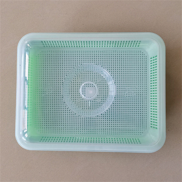 Seed Sprouter Tray with Lid BPA Free Bean Sprout Grower Sprouting Seeds Tray AU