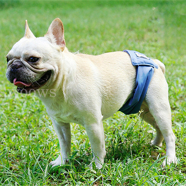 Male / Female Dog Puppy Nappy Diapers Belly Wrap Band Sanitary Pants Underpants