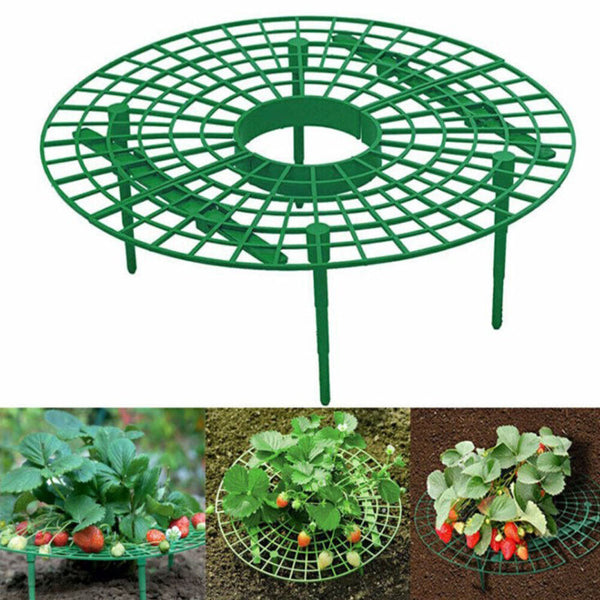 1-50PCS Strawberry Stand Frame Holder Balcony Planting Rack Fruit Support Stand