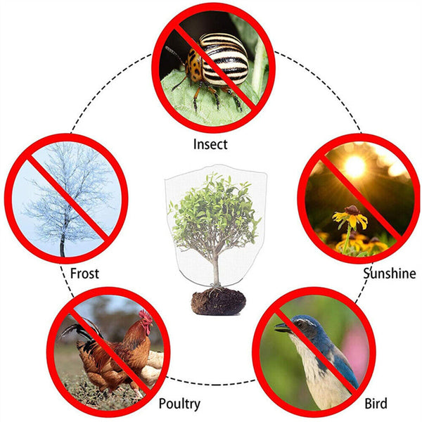 Fruit Fly Net Insect Mesh Vegetable Garden Plant Crop Protection Cover Bags