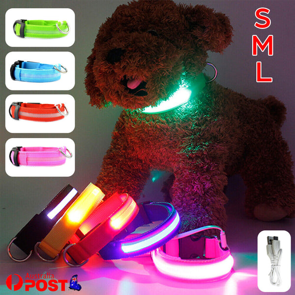 LED Night Safety Dog Collar Nylon Pet Puppy Glow Flashing Light Leash Set USB AU