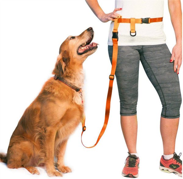 1/2x Adjustable Hands Free Leash Dog Lead W/ Waist Belt Jogging Walking Running