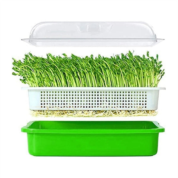 Seed Sprouter Tray with Lid BPA Free Bean Sprout Grower Sprouting Seeds Tray AU