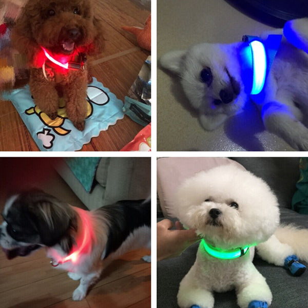 LED Night Safety Dog Collar Nylon Pet Puppy Glow Flashing Light Leash Set USB AU