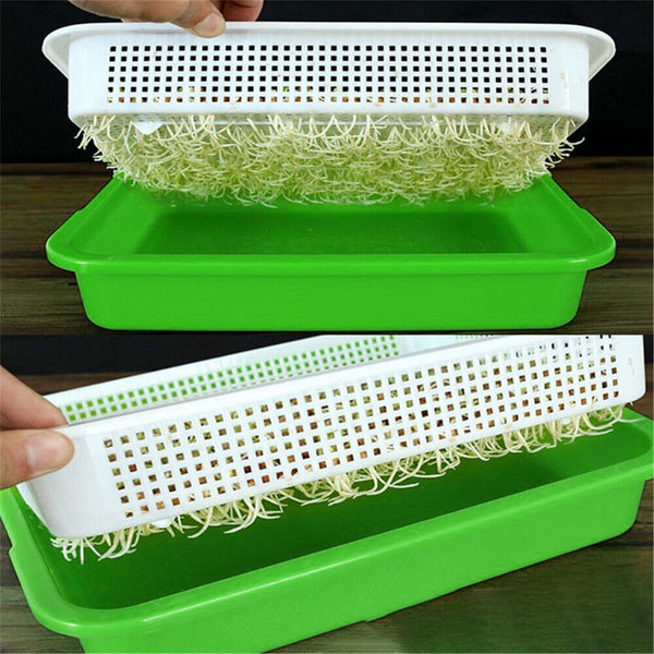 Seed Sprouter Tray with Lid BPA Free Bean Sprout Grower Sprouting Seeds Tray AU