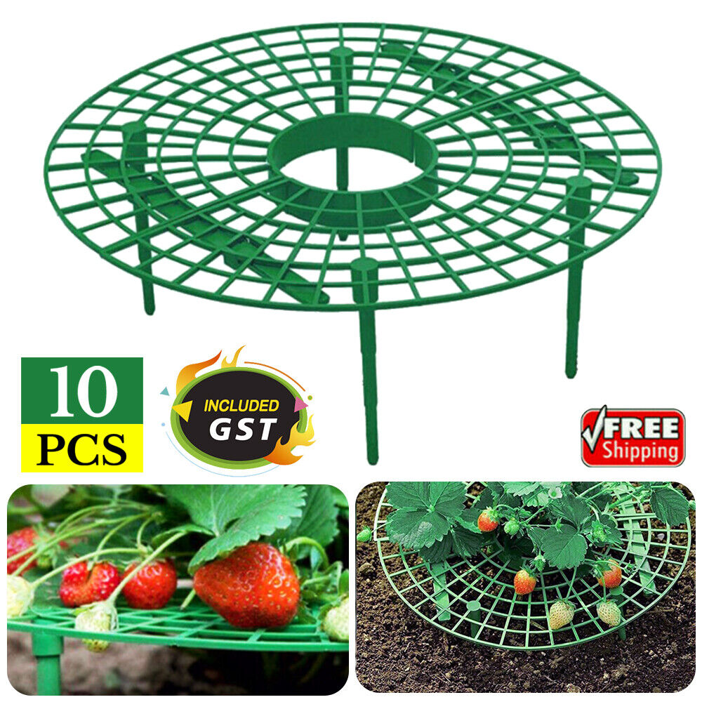 1/20PCS Strawberry Stand Frame Holder Balcony Planting Rack Fruit Support Stands