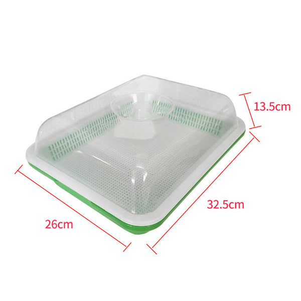 Seed Sprouter Tray with Lid BPA Free Bean Sprout Grower Sprouting Seeds Tray AU