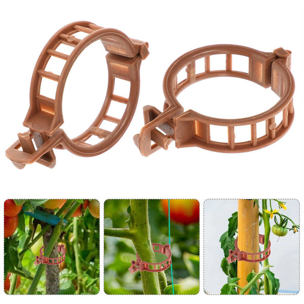 100pcs Tomato Greenhouse Ties Veggie Plant Support Clips Garden Trellis Stake