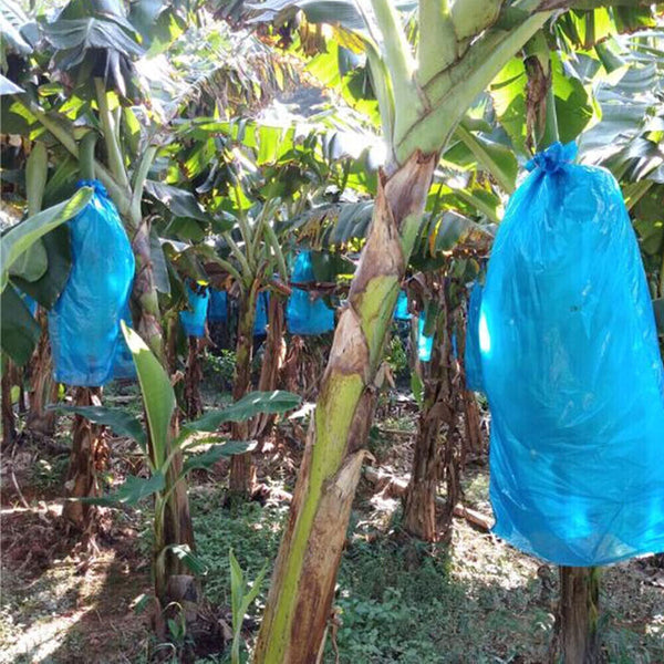 5pcs Banana Bunch Bags Cover Plant Fruit Protection Ripening Anti-freezing Bag