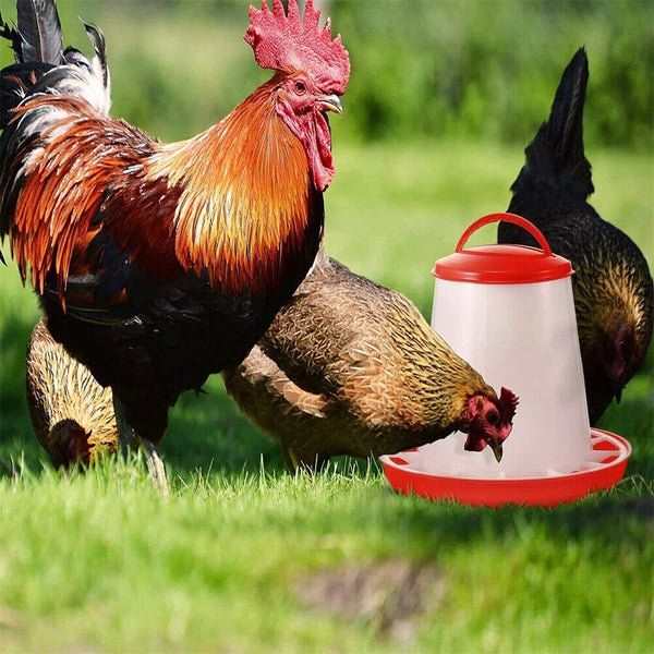 Automatic Chicken Bird Chook Feeder Poultry Feeder Poultry Drinker Bird Waterer