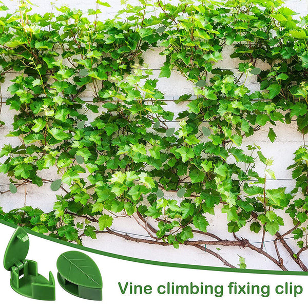 UP200 Invisible Vines Fixture Sticky Hook Fixing Clip Climbing Plants TiesHolder