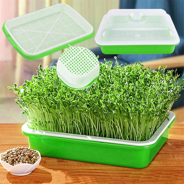 Seed Sprouter Tray with Lid BPA Free Bean Sprout Grower Sprouting Seeds Tray AU