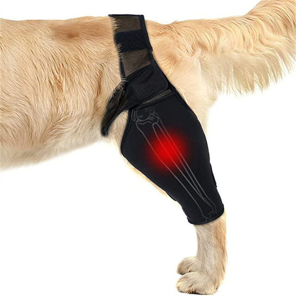 S/M/XL Pet Dog Knee Support Brace Hock Protector Front Rear Leg Compression Wrap