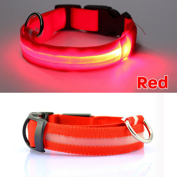 LED Night Safety Dog Collar Nylon Pet Puppy Glow Flashing Light Leash Set USB AU