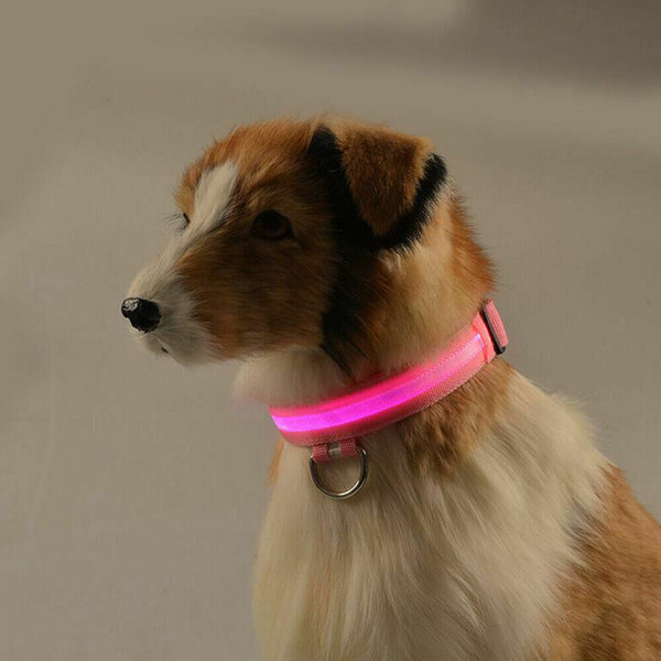 LED Night Safety Dog Collar Nylon Pet Puppy Glow Flashing Light Leash Set USB AU