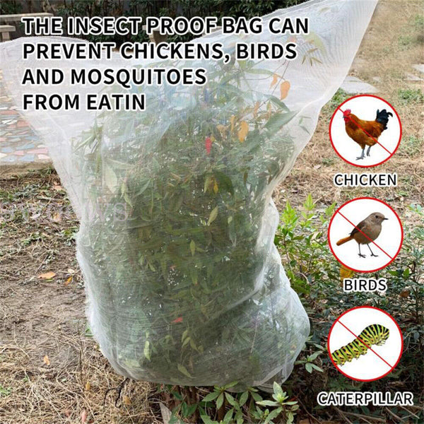 Up to 5pc Fruit Fly Net Insect Mesh Vegetable Garden Plant Crop Protection Cover