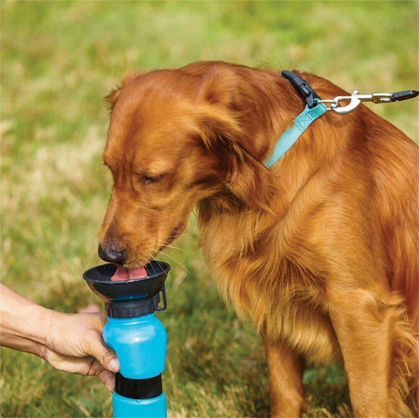 500ml Dog Cat Water Drinking Bottle Detachable Travel Cup Portable Pet Feeder AU