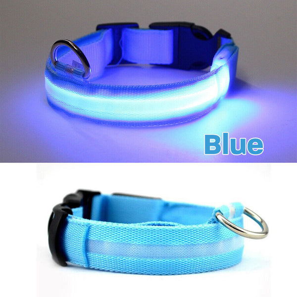 LED Night Safety Dog Collar Nylon Pet Puppy Glow Flashing Light Leash Set USB AU