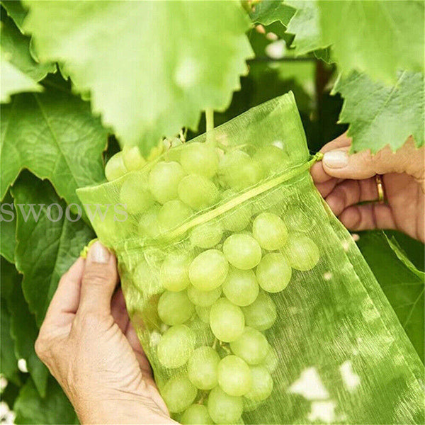 50/100x Fruit Net Bags Agriculture Garden Vegetable Protection Mesh Insect Proof