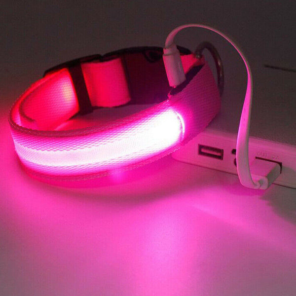 LED Night Safety Dog Collar Nylon Pet Puppy Glow Flashing Light Leash Set USB AU