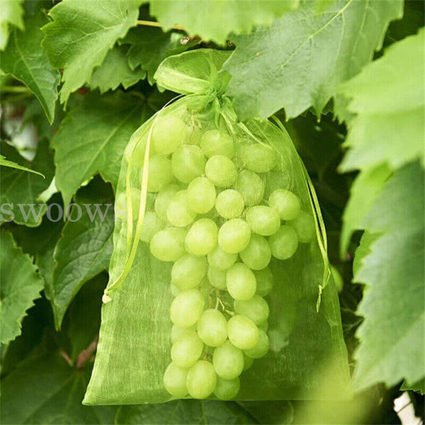 50/100x Fruit Net Bags Agriculture Garden Vegetable Protection Mesh Insect Proof