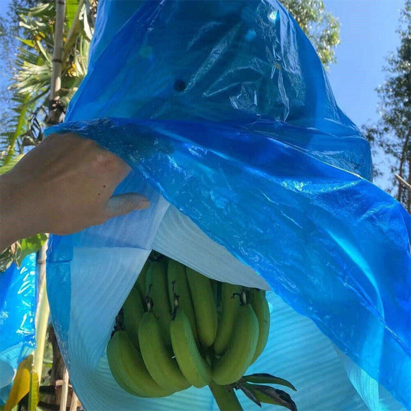 5pcs Banana Bunch Bags Cover Plant Fruit Protection Ripening Anti-freezing Bag