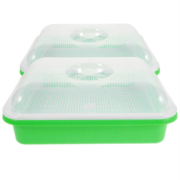 Seed Sprouter Tray with Lid BPA Free Bean Sprout Grower Sprouting Seeds Tray AU