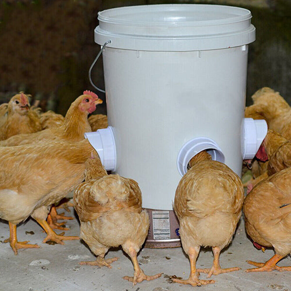 NEW Chicken Feeder Poultry Pro Feeder DIY Port PVC Gravity Fed Chicken Feeder