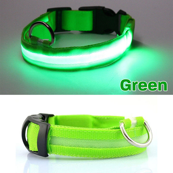 LED Night Safety Dog Collar Nylon Pet Puppy Glow Flashing Light Leash Set USB AU