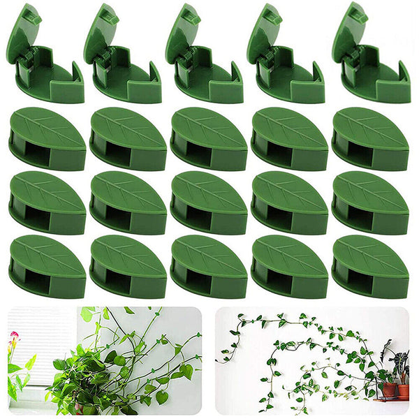 UP200 Invisible Vines Fixture Sticky Hook Fixing Clip Climbing Plants TiesHolder