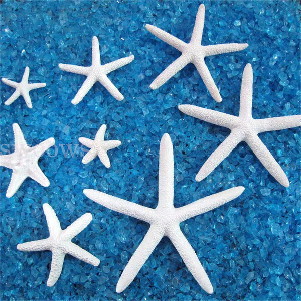 5/50 Finger Starfish Creamy White Pencil Finger Starfish For Wedding Home Decor