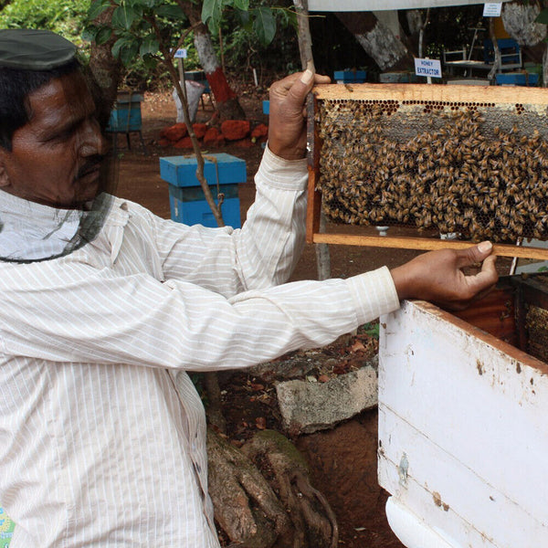 1-12X Fly Mosquito Head Net Hat Protector Farm Picking Fishing Gardening Camping