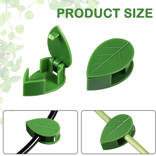 UP200 Invisible Vines Fixture Sticky Hook Fixing Clip Climbing Plants TiesHolder