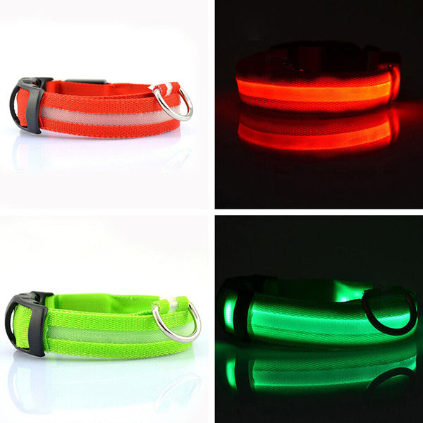 LED Night Safety Dog Collar Nylon Pet Puppy Glow Flashing Light Leash Set USB AU