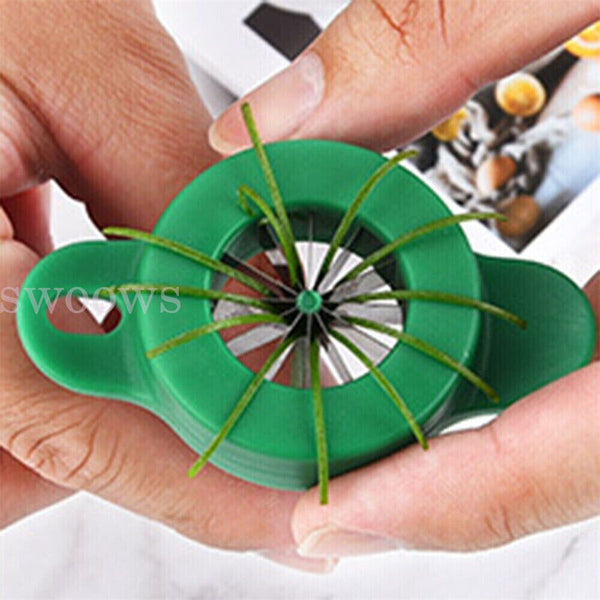 Onion Fruit Vegetable Scallion Cutter Shred Silk Chopped Onion Slicer w/ GIFT