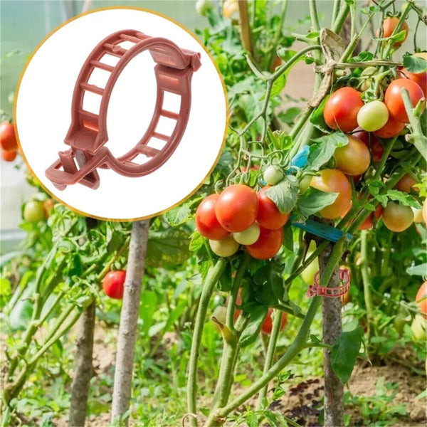 100pcs Tomato Greenhouse Ties Veggie Plant Support Clips Garden Trellis Stake