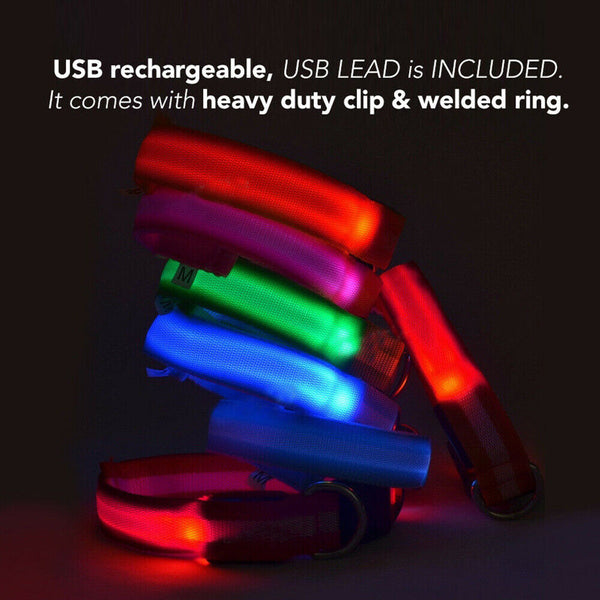 LED Night Safety Dog Collar Nylon Pet Puppy Glow Flashing Light Leash Set USB AU