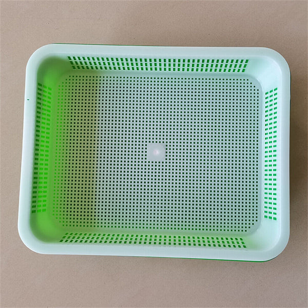 Seed Sprouter Tray with Lid BPA Free Bean Sprout Grower Sprouting Seeds Tray AU