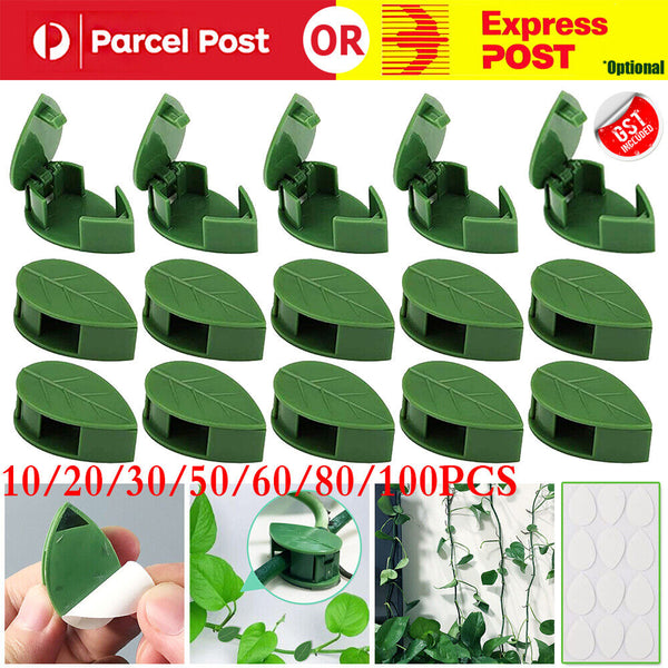 UP200 Invisible Vines Fixture Sticky Hook Fixing Clip Climbing Plants TiesHolder