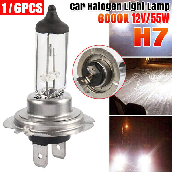 UP10x H7 Headlight Globes 55W White 6000K Car Lamp Bulb Halogen Light Lamp Globe