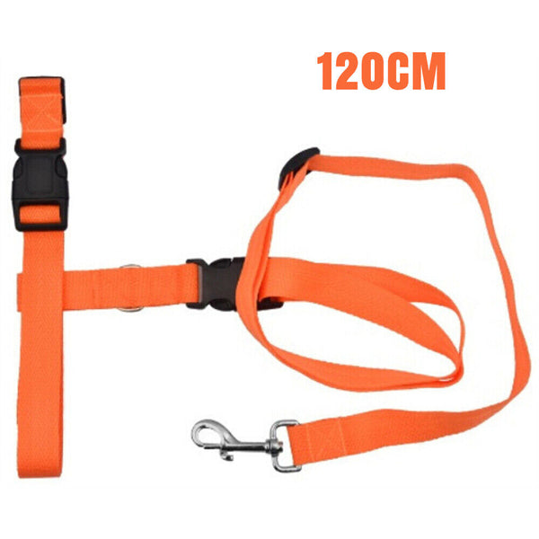 1/2x Adjustable Hands Free Leash Dog Lead W/ Waist Belt Jogging Walking Running