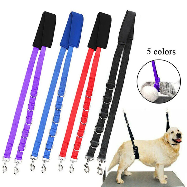 3Pcs Dog Grooming Harness Strap Pet Noose Adjustable Lead Safety Belt