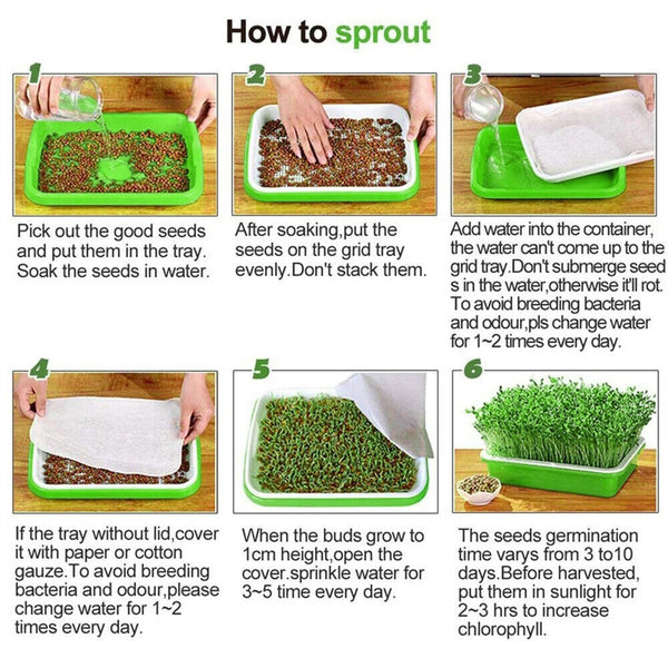 Seed Sprouter Tray with Lid BPA Free Bean Sprout Grower Sprouting Seeds Tray AU