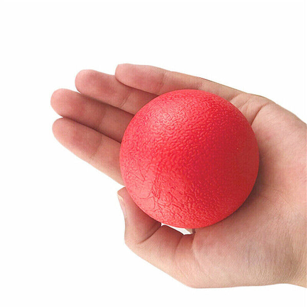 Solid Training Toy Rubber Ball Pet Puppy Dog Chew Play Fetch Bite Bouncy TPRBall